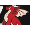 Family Feeling Kids & Toddler Boys Pajamas 2 Piece Pjs Set 100% Cotton Sleepwear(Dragon/Dragon/A2)