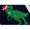 Family Feeling Little Big Boy Pajamas Sets 100% Cotton Pjs Kids Jammies(Christmas/Blue/Dinosaur6042)