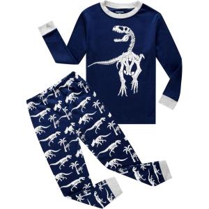 Family Feeling Kids & Toddler Boys Pajamas 2 Piece Pjs Set 100% Cotton Sleepwear(Blue/Dinosaur)
