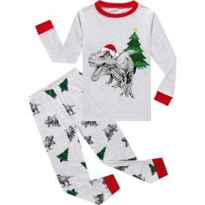 Family Feeling Kids & Toddler Boys Pajamas 2 Piece Pjs Set 100% Cotton Sleepwear(Christmas/Dinosaur/Grey/F1)