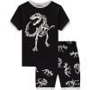 Family Feeling Boys Summer Pajamas Sets Short 100% Cotton Pjs(Dinosaur/2f)