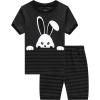 Rabbit/F9