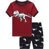 Family Feeling Boys Summer Pajamas Sets Short Sets(Dinosaur Print/Multicolor)