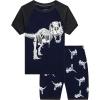 Family Feeling Boys Summer Pajamas Sets Short Sets(Dinosaur Print/Navy Blue)