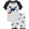 Family Feeling Little Big Boys Summer Pajamas Sets Short 100% Cotton Pjs(Dragon/Grey/F1)