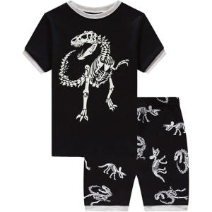 Family Feeling Boys Summer Pajamas Sets Short 100% Cotton Pjs(Dinosaur/2f)