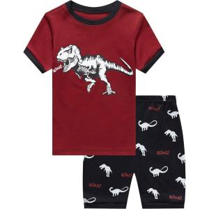 Family Feeling Boys Summer Pajamas Sets Short Sets(Dinosaur Print/Multicolor)