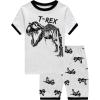 Family Feeling Little Boys Dinosaur Pajamas Short Sets 100% Cotton Toddler Kid Summer 3T