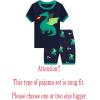 Family Feeling Boys Summer Pajamas Sets Short Sets(Dragon Print/Multicolored)